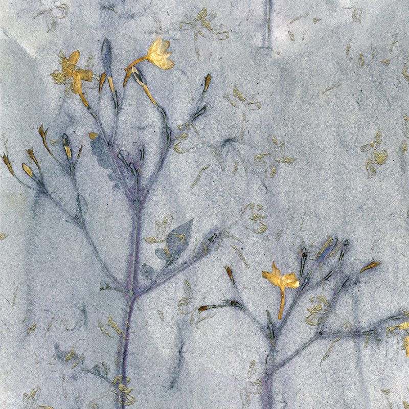 Return to nature – FAF STUDIO STORE